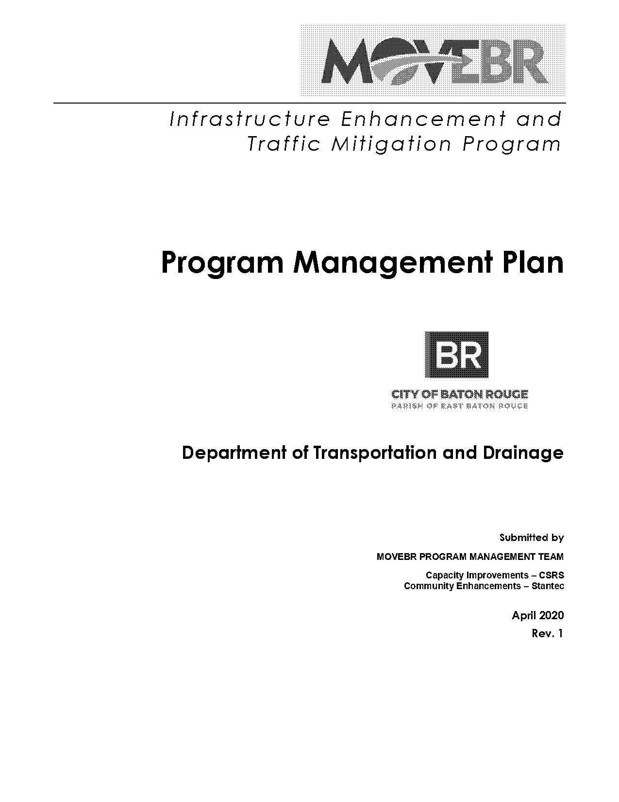 program management plan template word