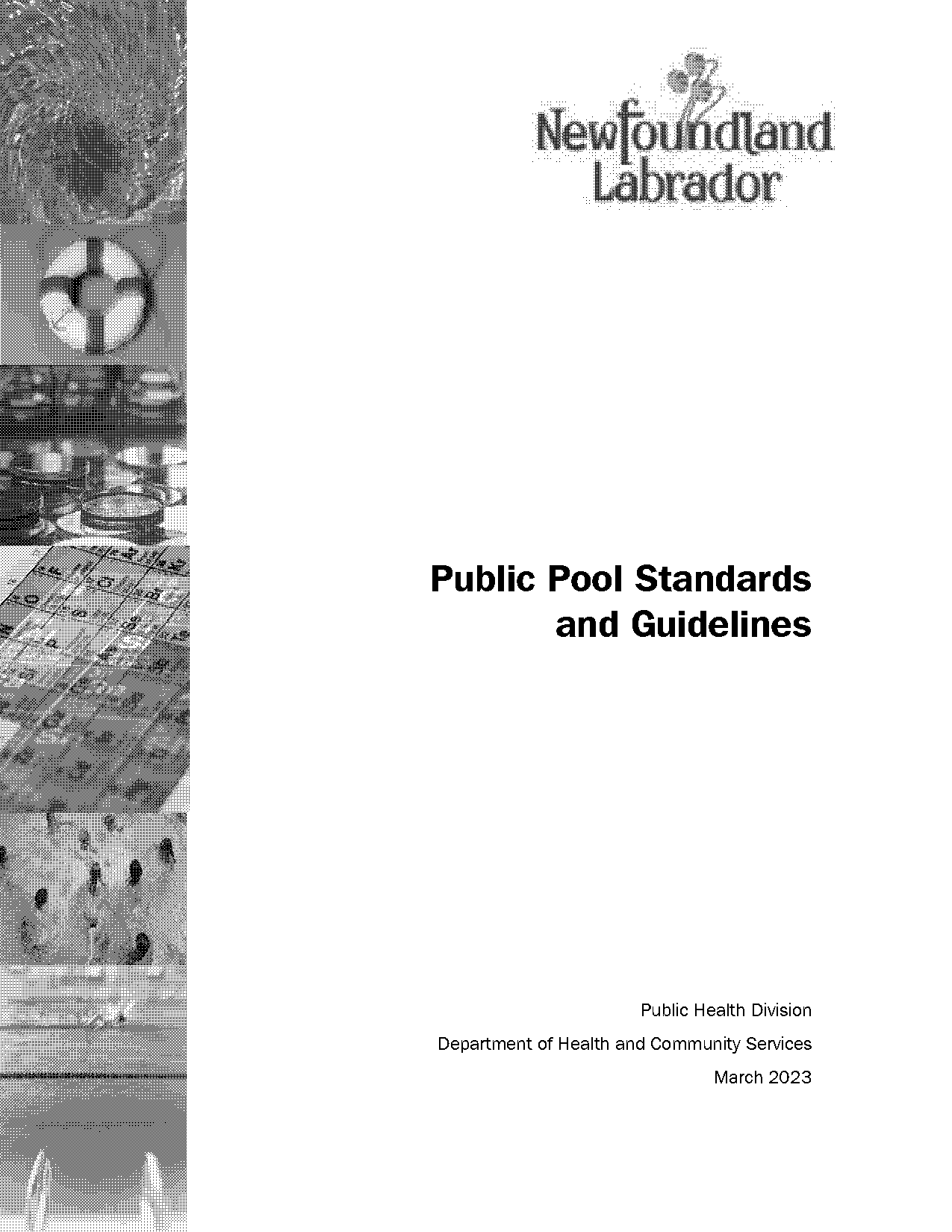 blue world pools chlorinization system manual