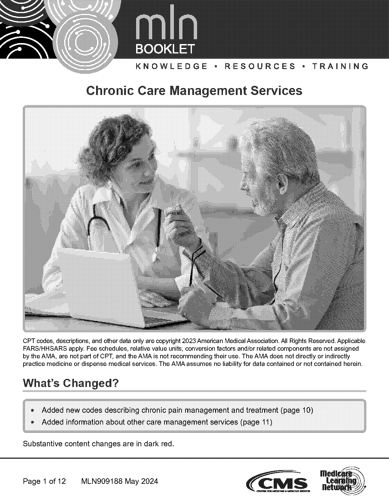 case management access ms template