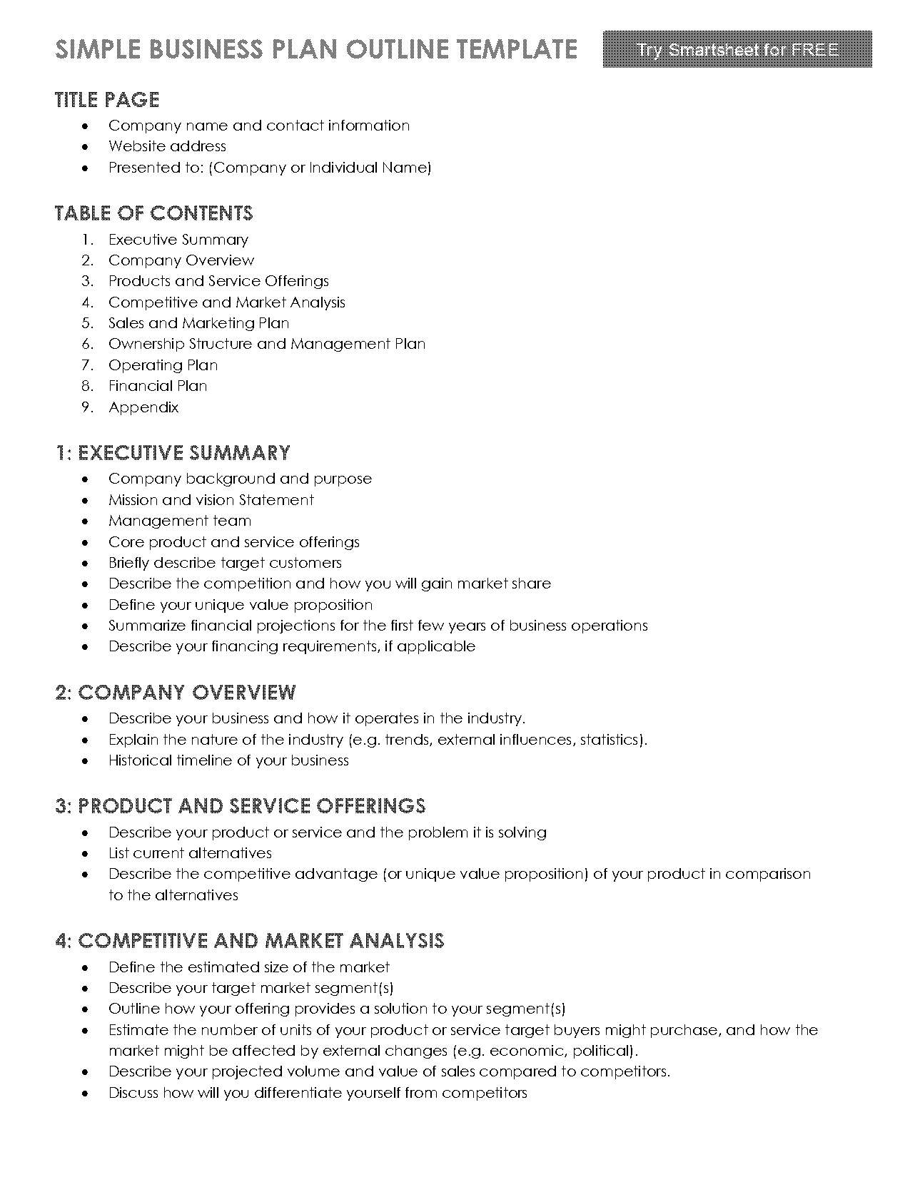 buisness plan outline template