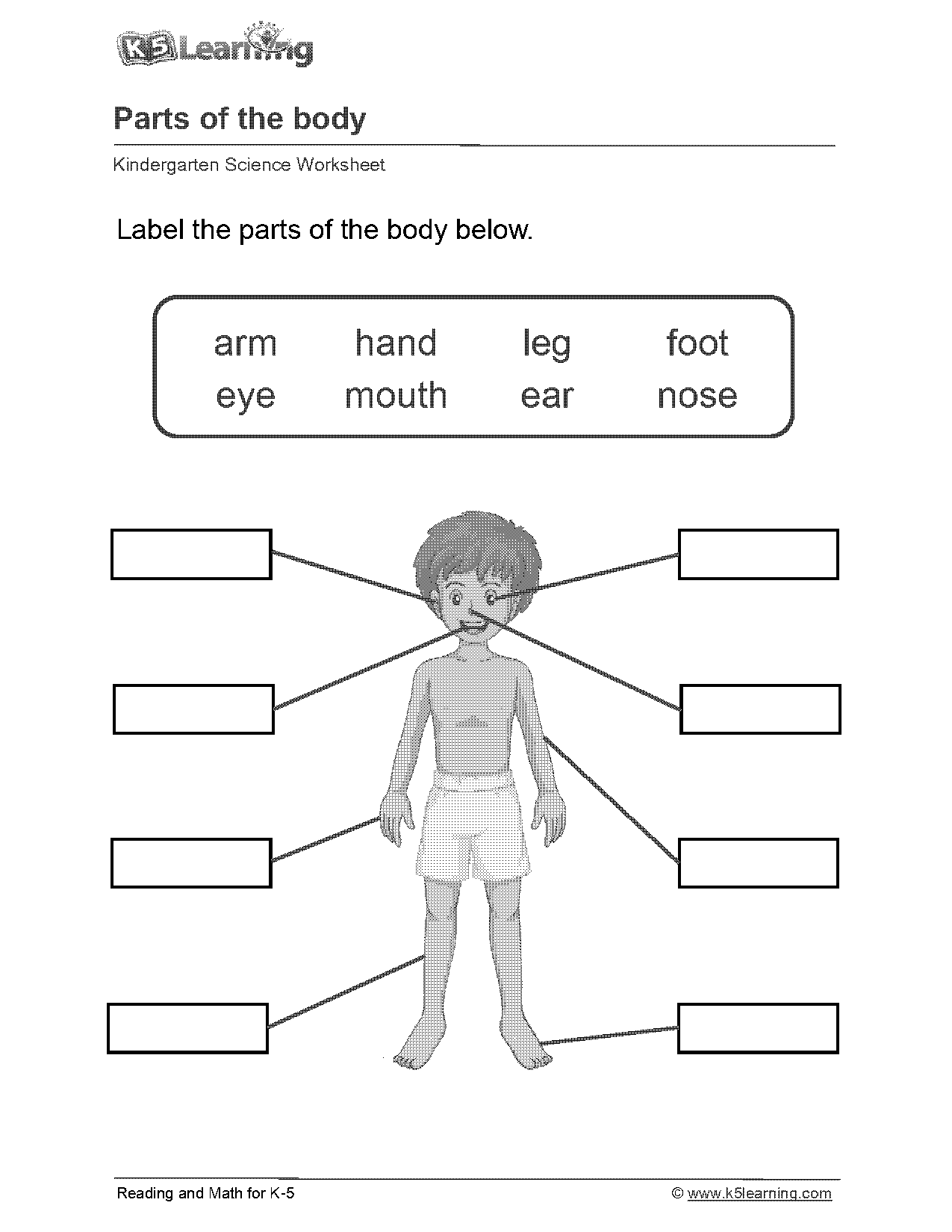 kindergarten worksheets body parts